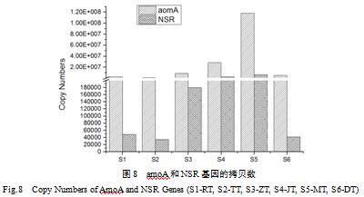 �ɹⶨ������